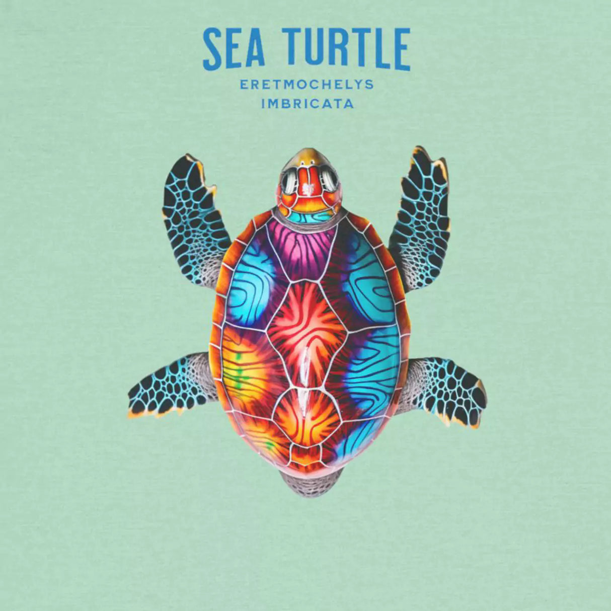 Design for Colorful Sea Turtle t-shirt